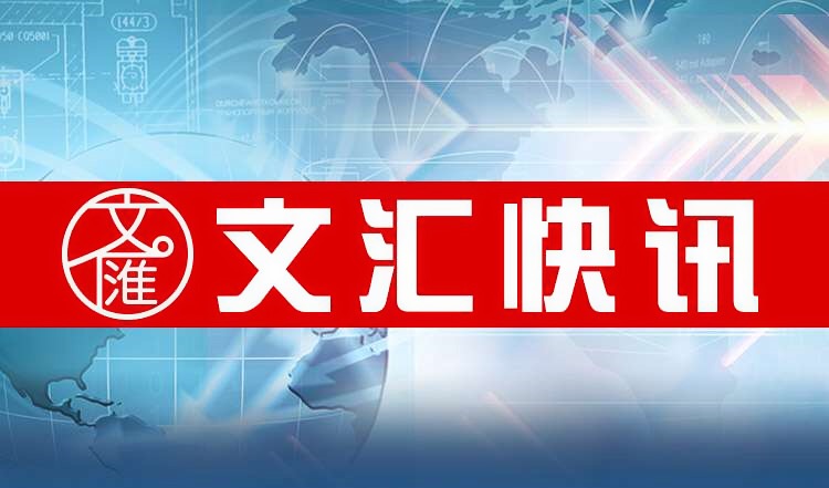 卓创资讯2023年年度董事会经营评述